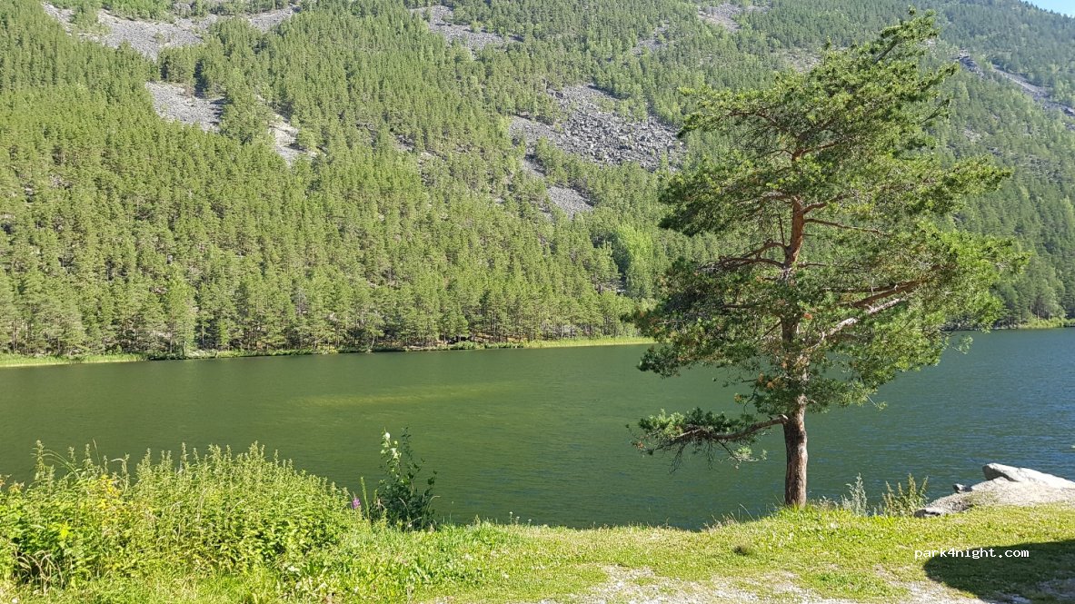 (2672)  - Sekundær Fylkesveg 438 — foto 3