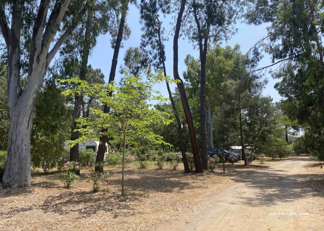 CAMPING L'OSO — foto 2