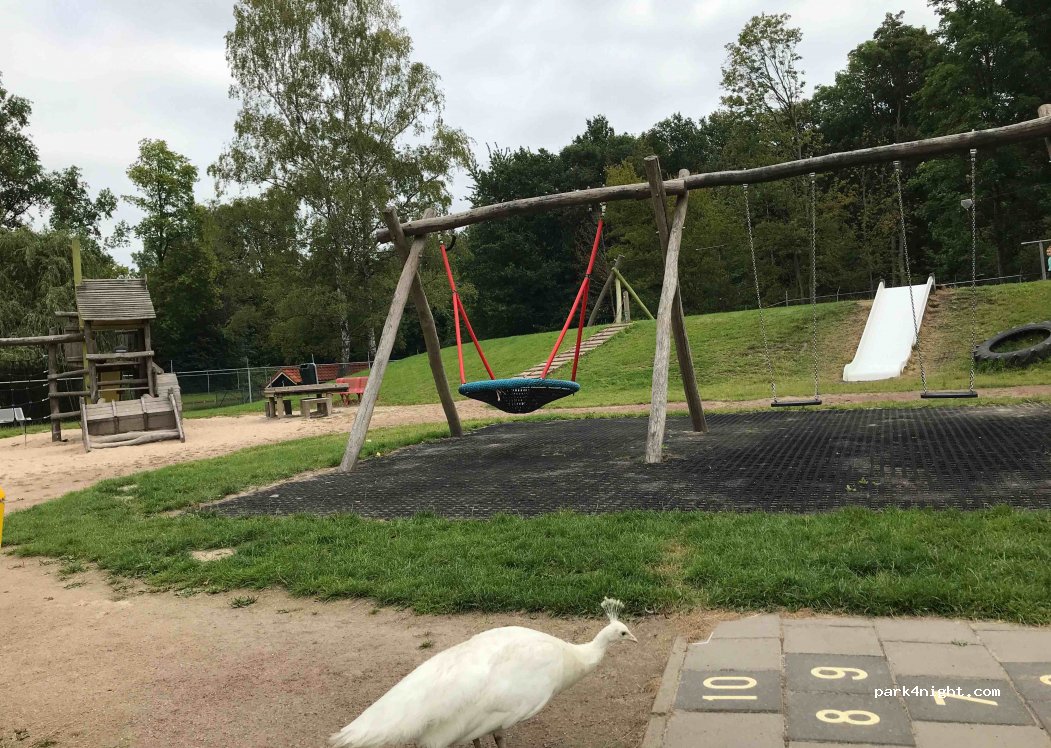 (8302 AC) Emmeloord - 2C Banterweg — foto