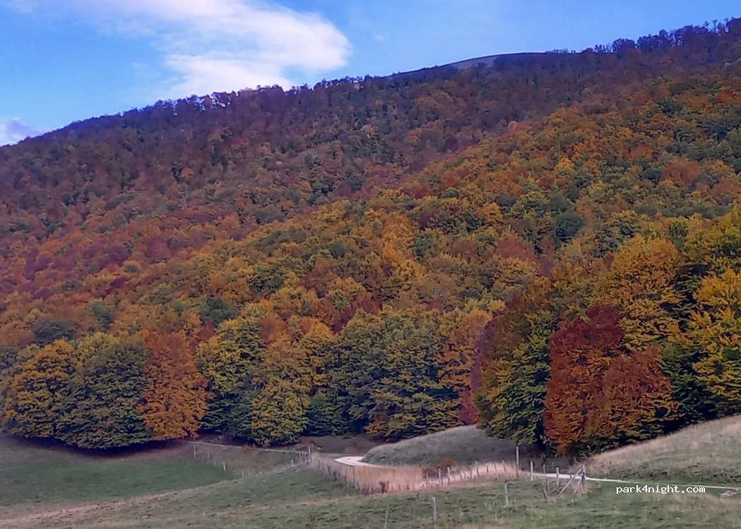 (06046) Norcia - Unnamed Road — foto 2