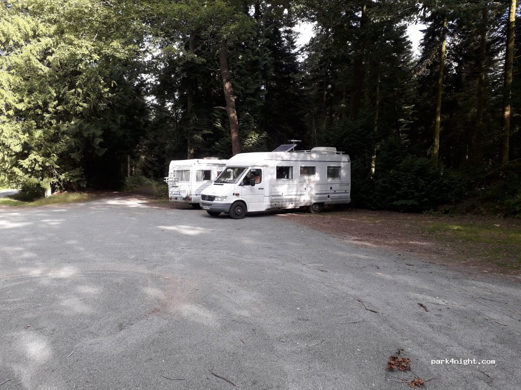 (61420) L'Orée-d'Écouves - D226 — foto