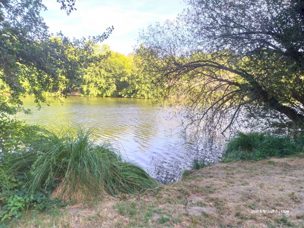(49120) Chemillé-en-Anjou - La Chaillou — foto 2