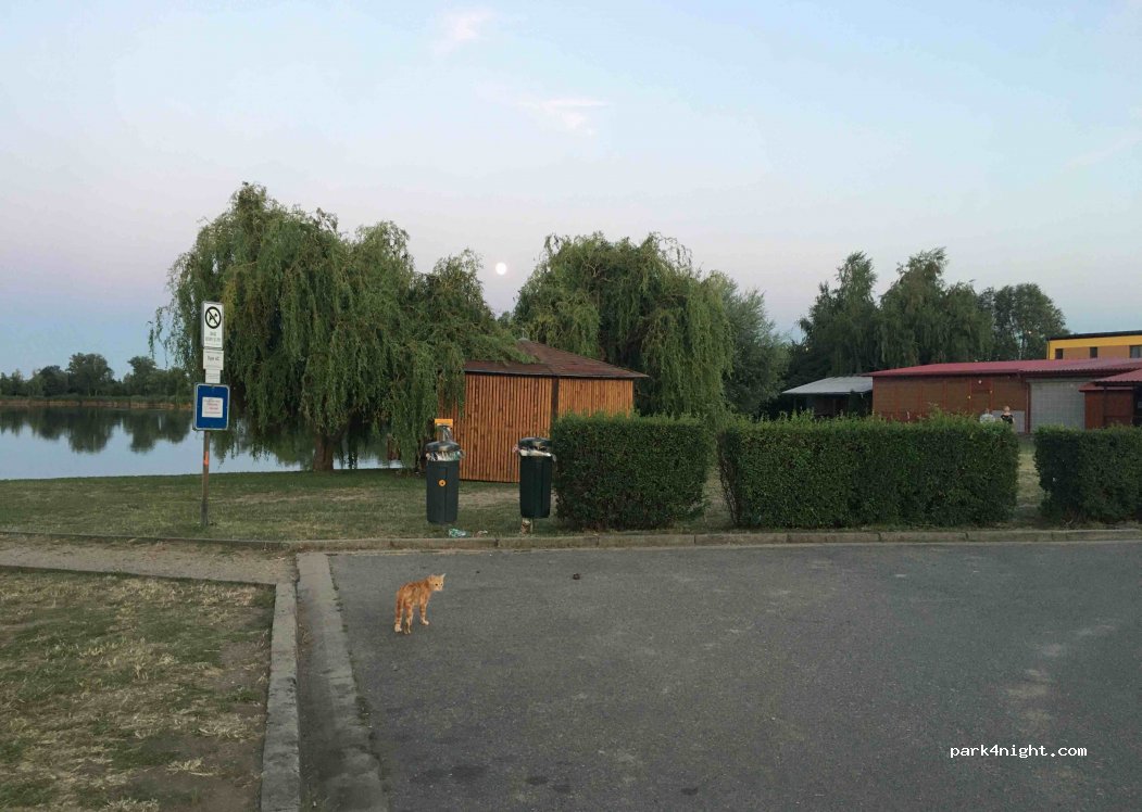 (691 03) Rakvice - 922 Dolní — foto 2