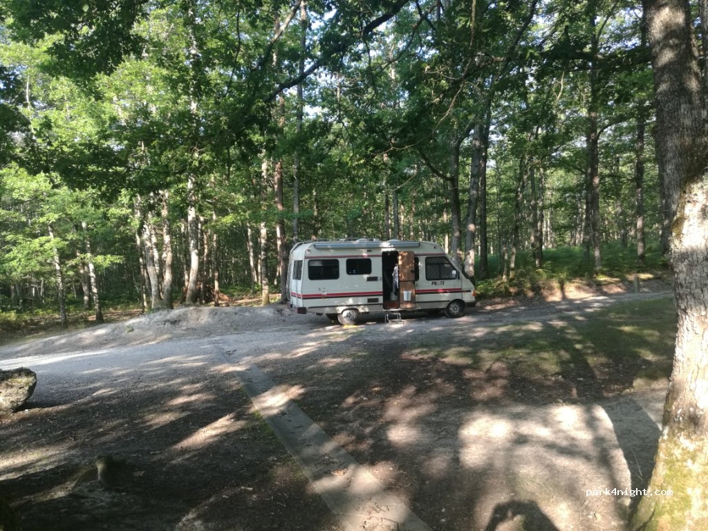 (45450) Nibelle - Route Forestière de Vitry-aux-Loges à  Châtillon — foto 2