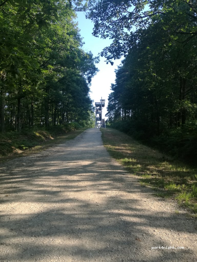 (45450) Nibelle - Route Forestière de Vitry-aux-Loges à  Châtillon — foto 3