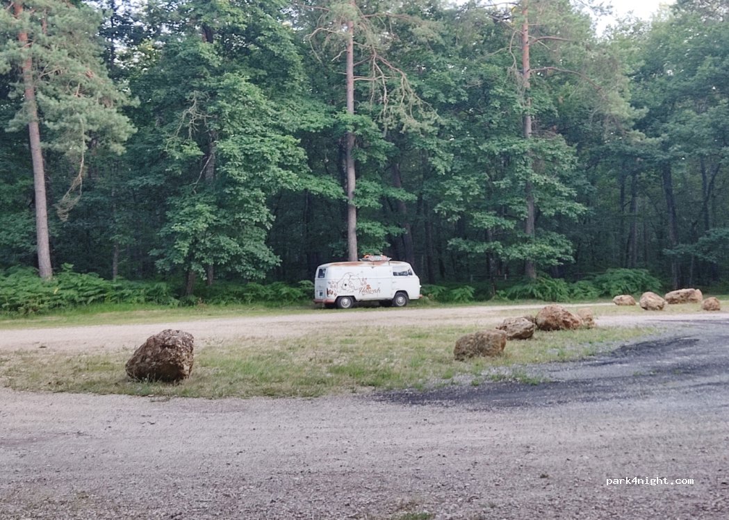 (45450) Nibelle - Route Forestière de Vitry-aux-Loges à  Châtillon — foto 4