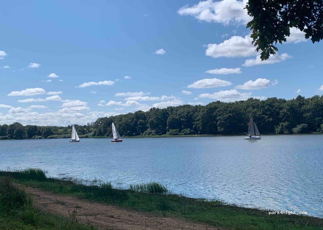 (89170) Saint-Fargeau - 246 Le Chesnois — foto 4