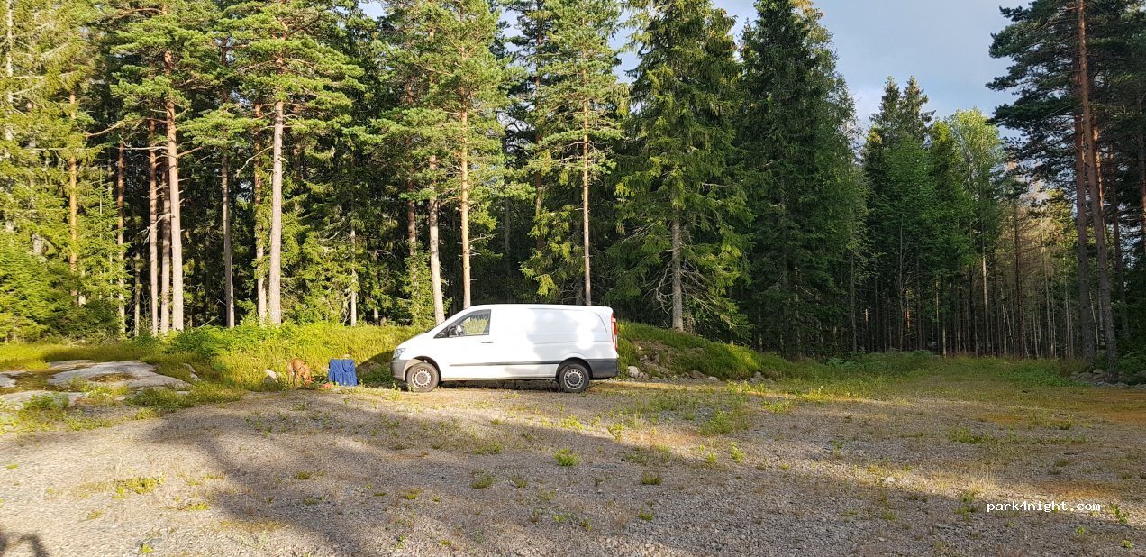 (695 94)  - 2 Lövön Svenljungsängen — foto