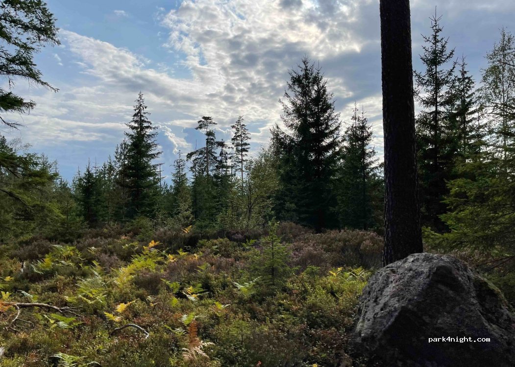 (695 94)  - 2 Lövön Svenljungsängen — foto 2