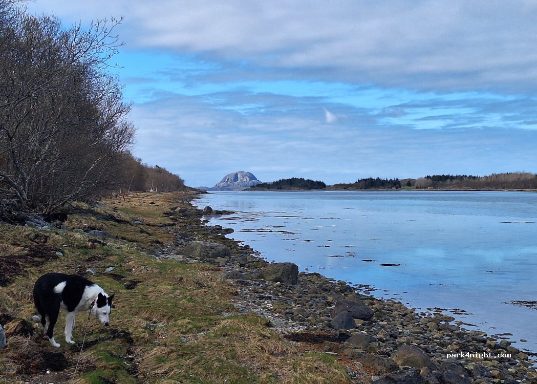 (8900) Brønnøysund - Unnamed Road — foto 5