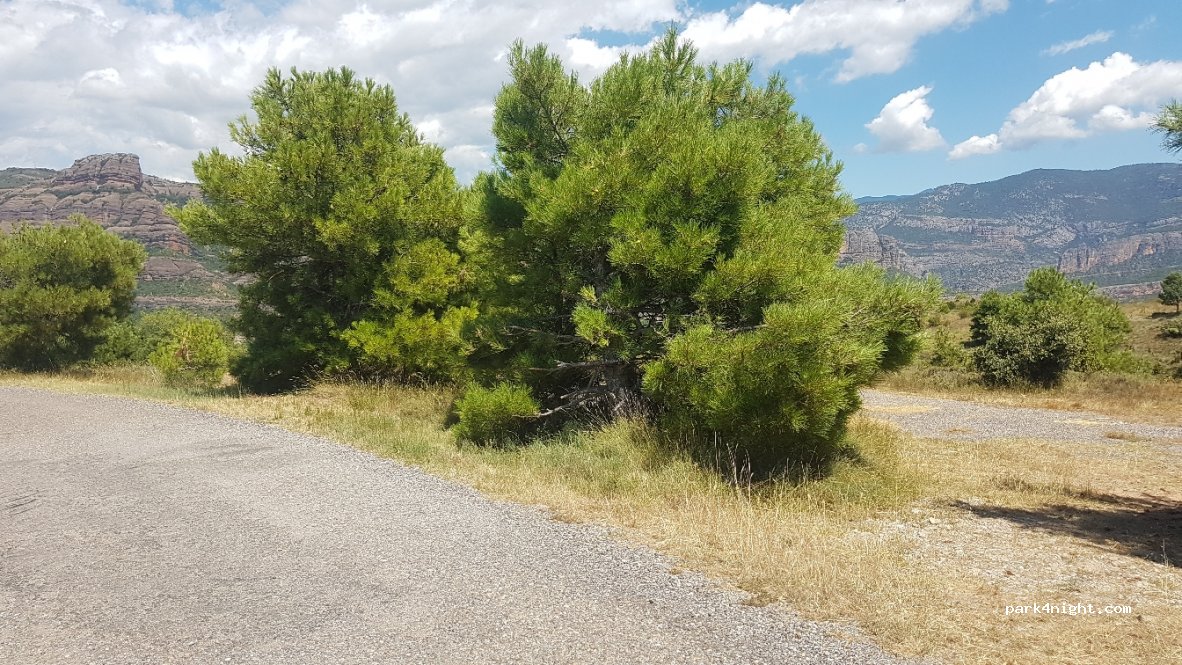 (25516) Conca de Dalt - Carretera d'Hortoneda — foto 4