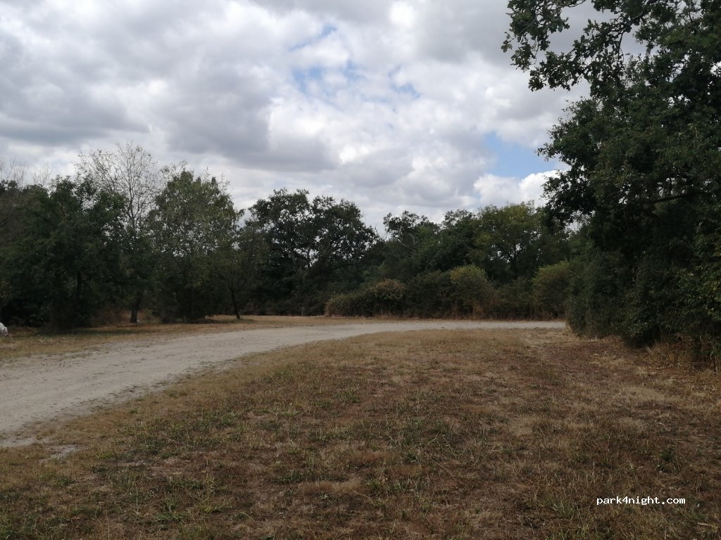 (85250) Chavagnes-en-Paillers - Unnamed Road — foto 2