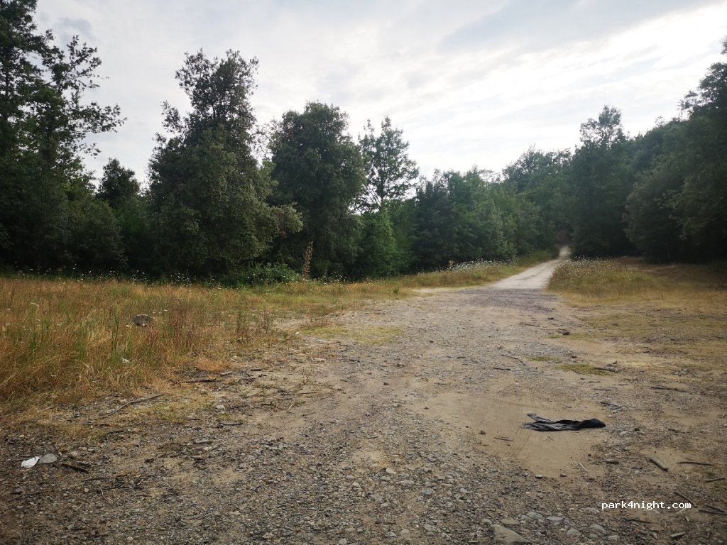 (53015) Roccastrada - Unnamed Road — foto