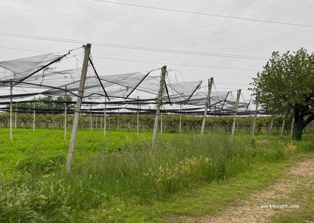 Società Agricola Corte Finiletto - Agricampeggio — foto 3