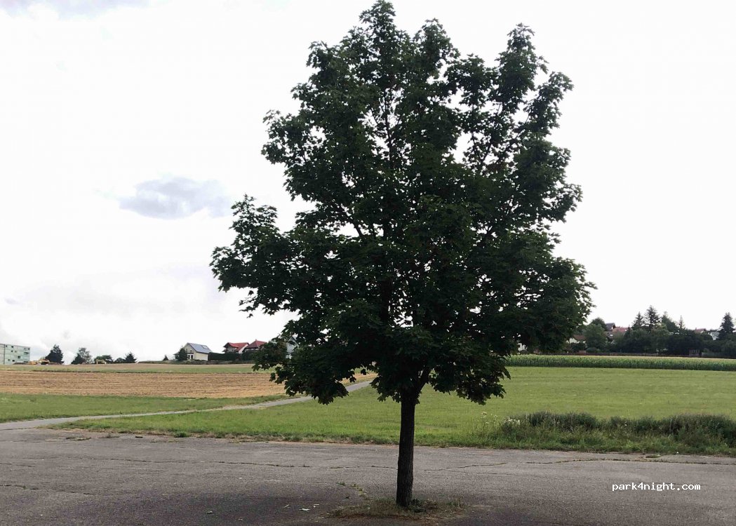 (79843) Löffingen - Schwimmbadstraße — foto