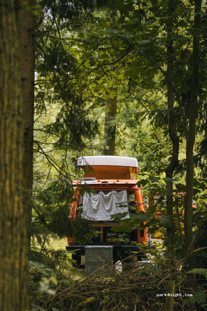 Camping de Waps — foto 5