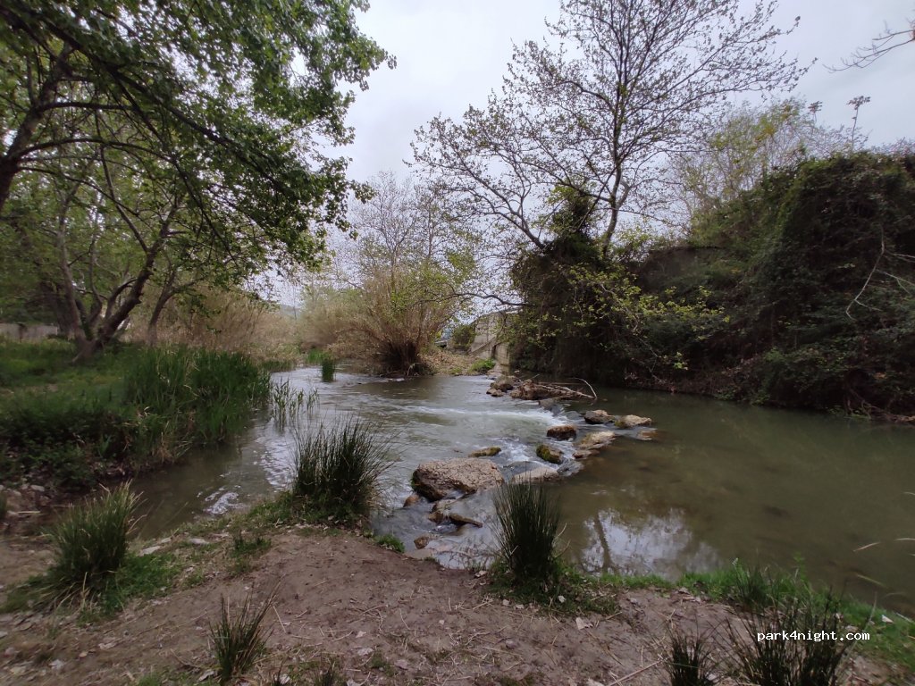 (12400) Sogorb - 209C Polígono 04 — foto 2