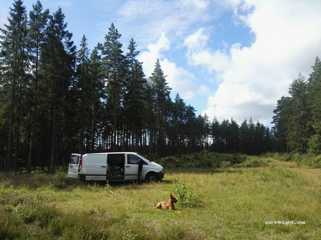(693 92)  - Unnamed Road — foto