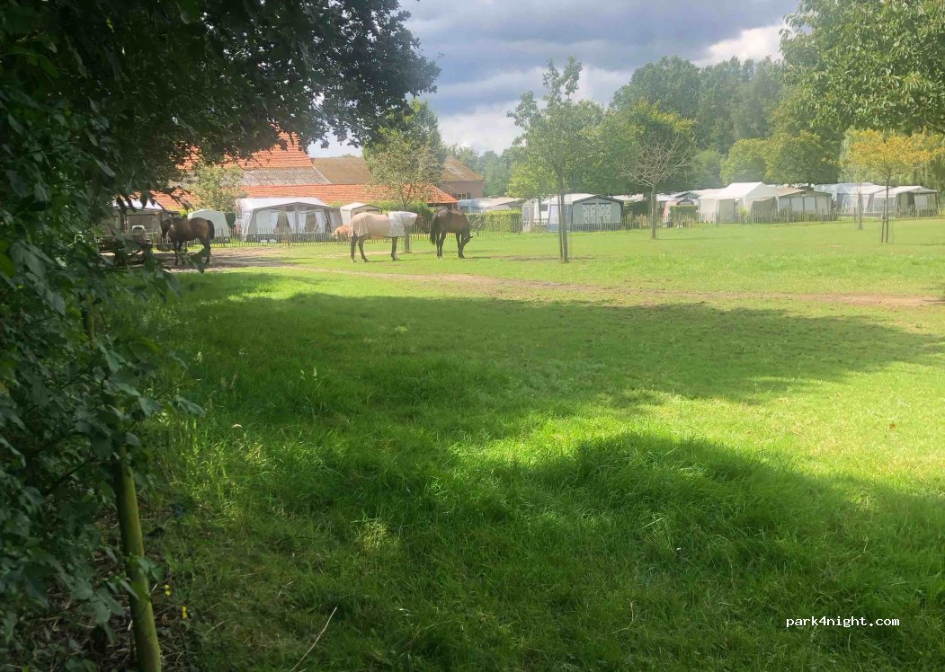 Boerderijcamping Peelhof — foto 4