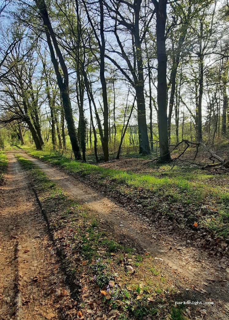 (29413) Diesdorf - Unnamed Road — foto 2