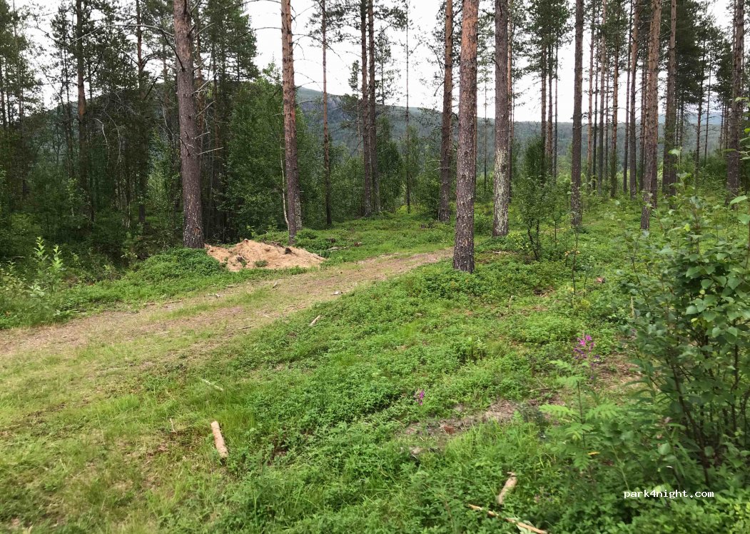 (9321)  - Målselvveien — foto