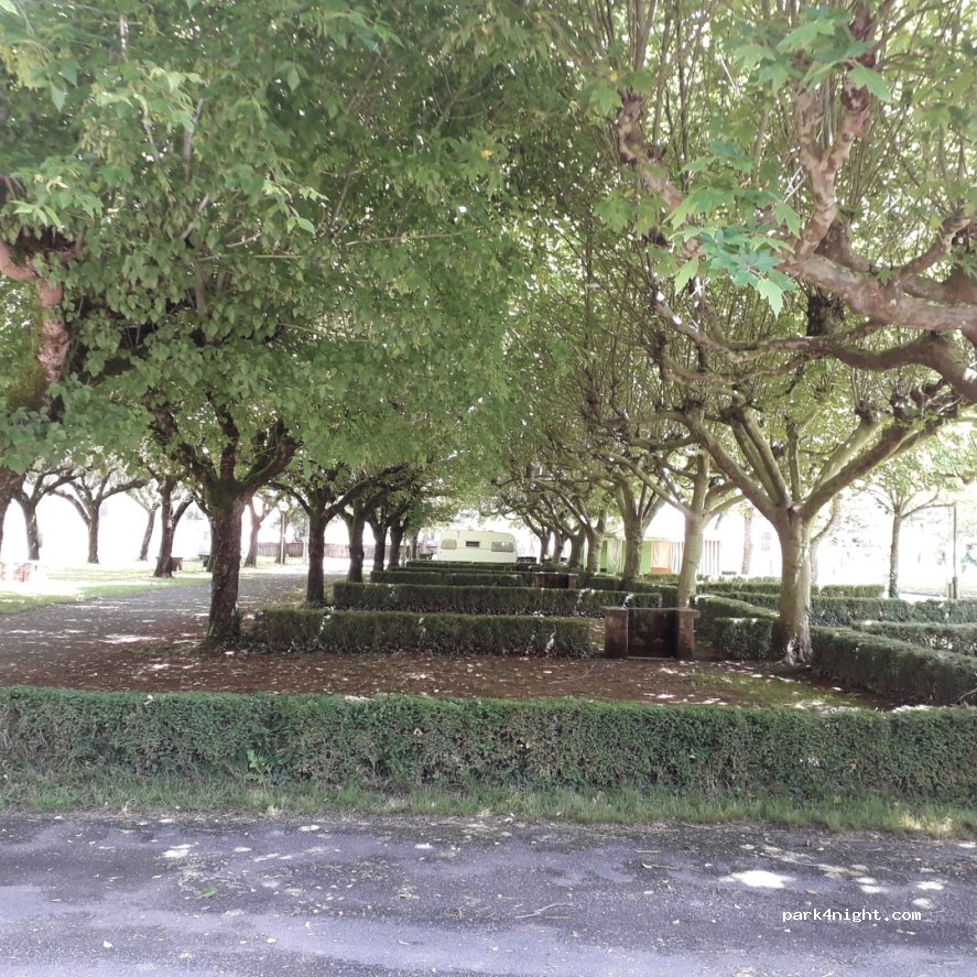 Camping Municipal — foto 2