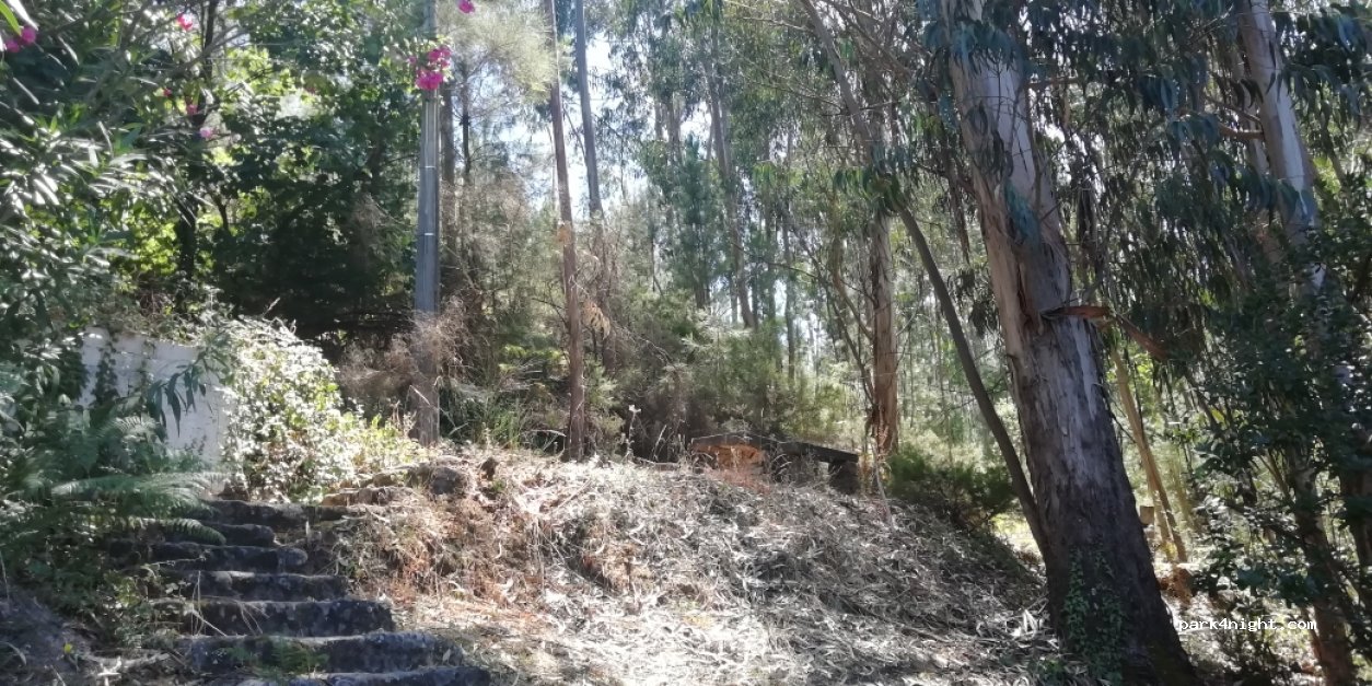 (6110) Melriça - N2 — foto 2