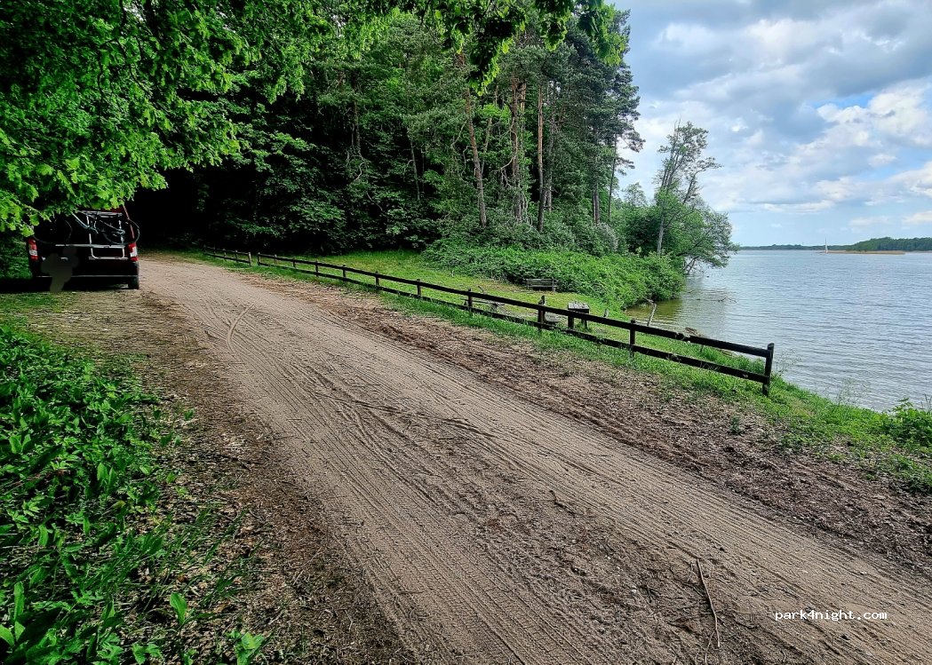(11) Wierzba - — foto 3