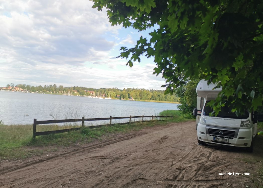 (11) Wierzba - — foto 4
