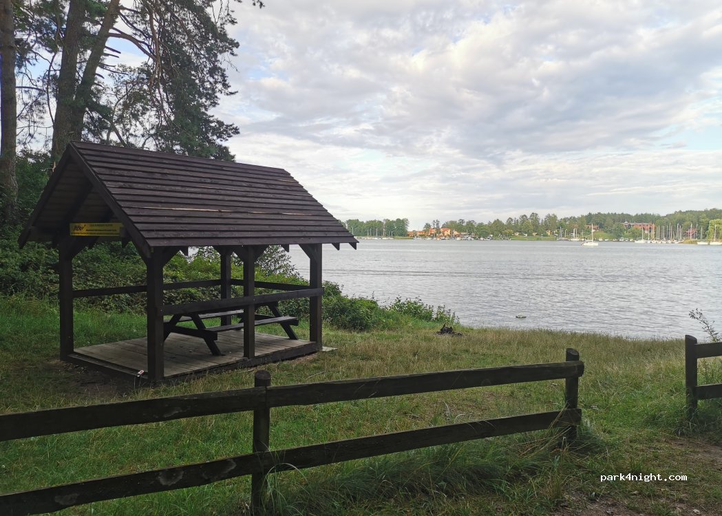 (11) Wierzba - — foto 5