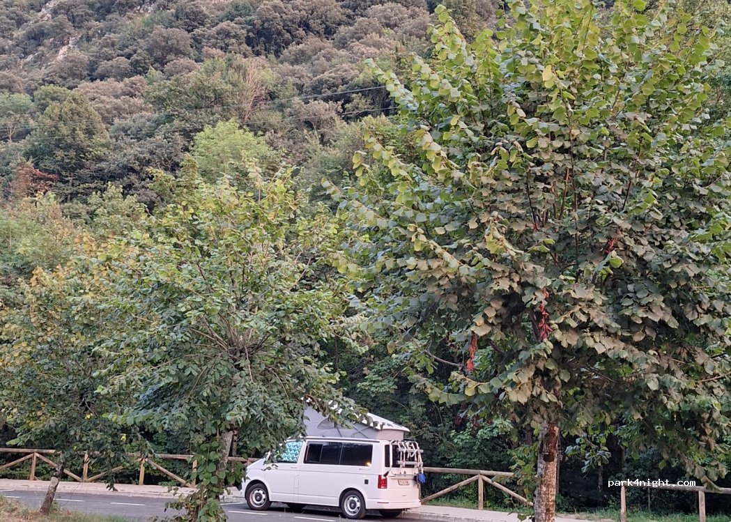 (33555) Carreña - 19A Parque Berodia — foto 4