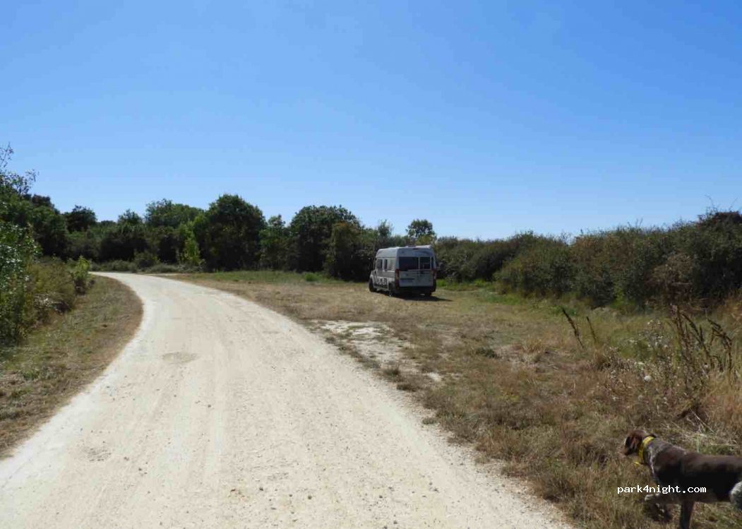 (17780) Saint-Nazaire-sur-Charente - Unnamed Road — foto 3