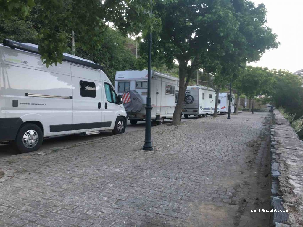 (5085) Pinhão - EM590 — foto