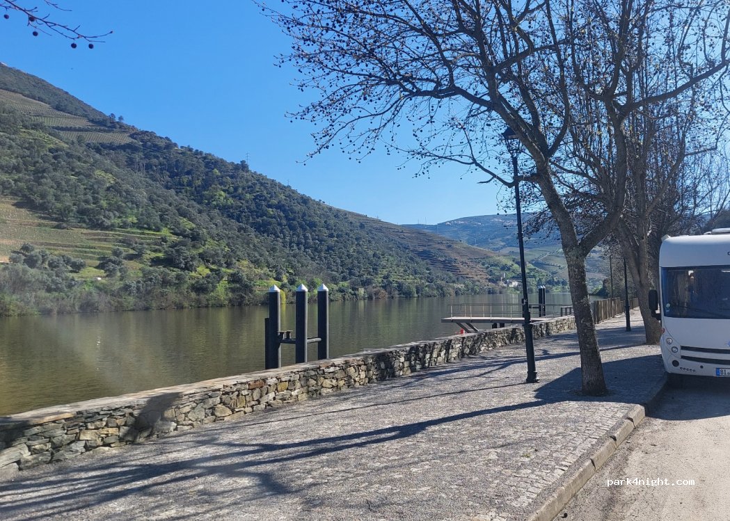 (5085) Pinhão - EM590 — foto 3