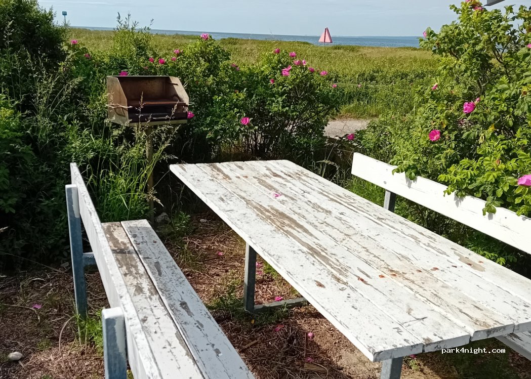 (8420) Knebel - 24 Vestre Strandvej — foto 4
