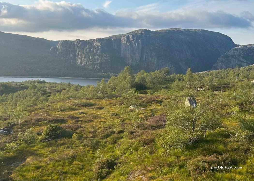 (4443)  - 19 Primær Fylkesveg 45 — foto 4