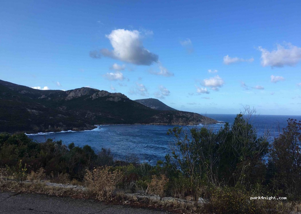 (20214) Calvi - D81B — foto