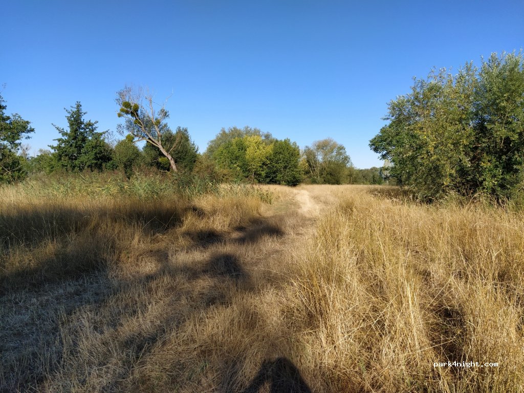 (89300) Saint-Aubin-sur-Yonne - Unnamed Road — foto