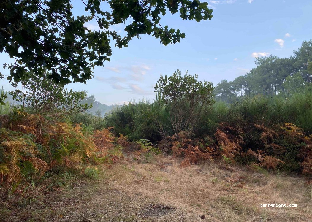 (40530) Labenne - 9 Impasse Bernardon — foto 2