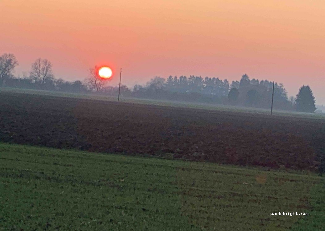 Aarhof Bellach — foto 4