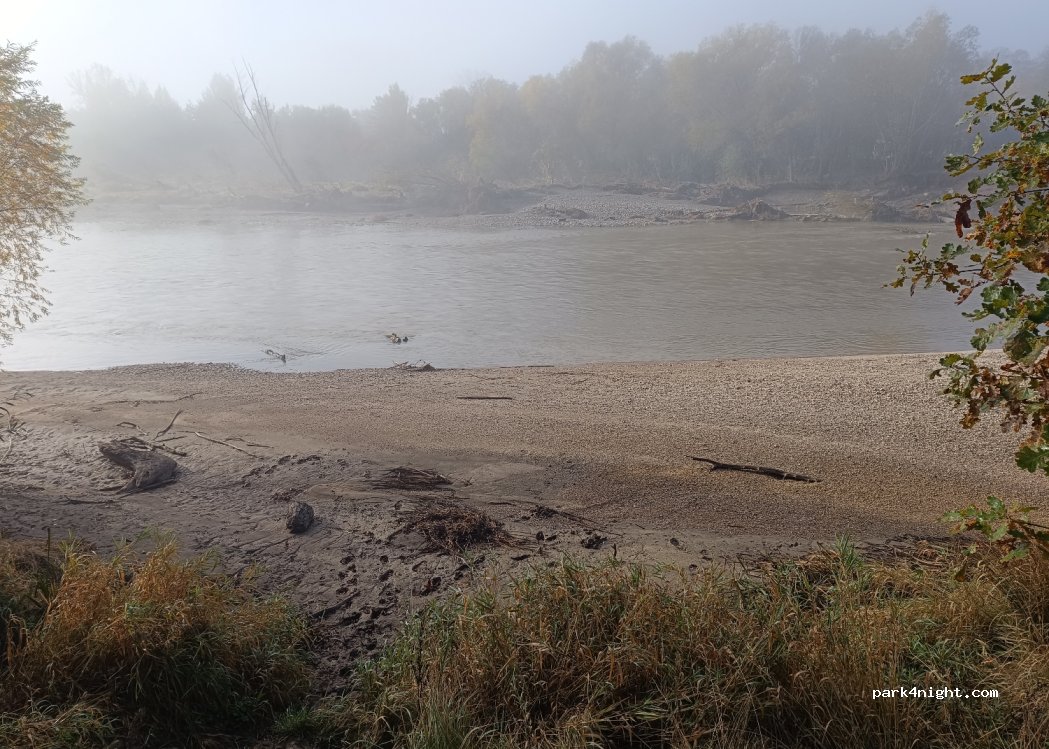 (57-242) Topola - — foto 3