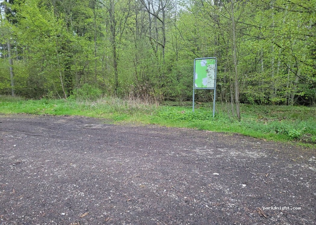 (85635) Höhenkirchener Forst - Grasbrunner Geräumt — foto 2