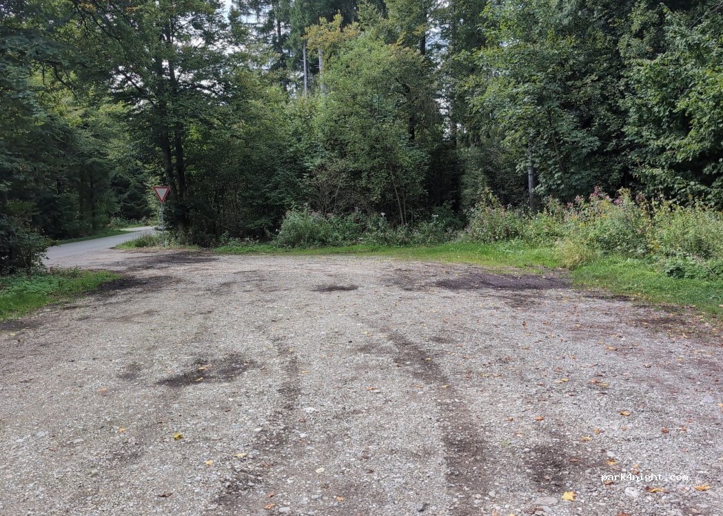 (85635) Höhenkirchener Forst - Grasbrunner Geräumt — foto 3