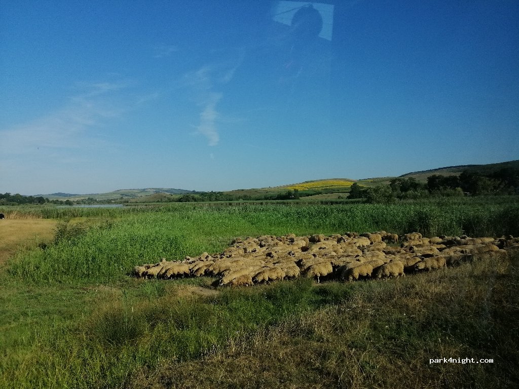 (407176) Valea Caldă - DJ109C — foto