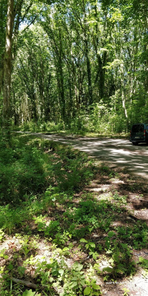 (65100) Lourdes - Unnamed Road — foto 2
