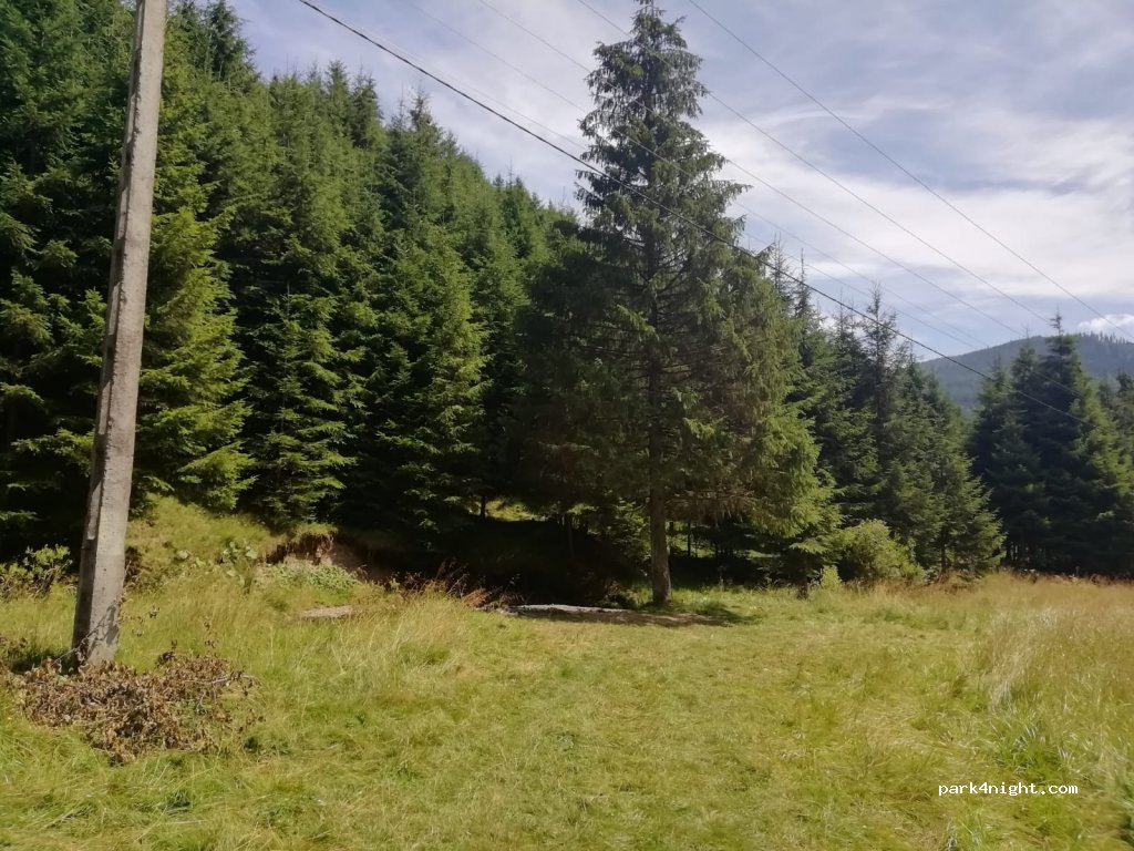 (535500)  - Drum forestier Cianod — foto
