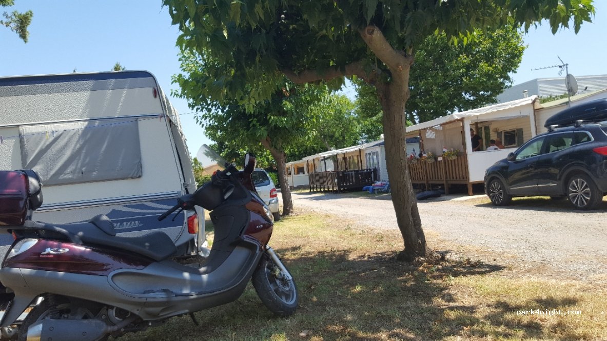 Camping Le Pin Parasol — foto 4