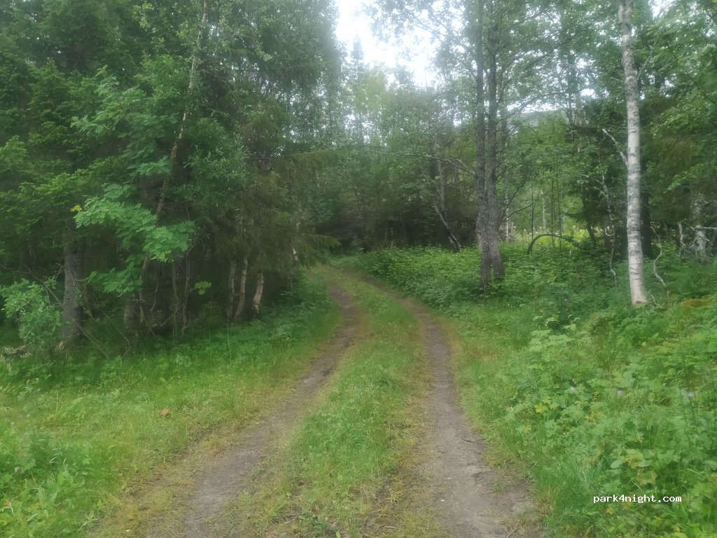 (8680)  - 16 Sekundær Fylkesveg 274 — foto 2