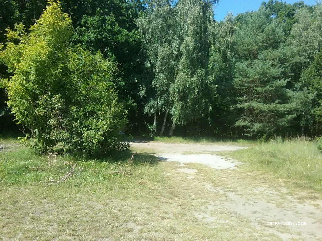 (18347) Dierhagen - NVP1 — foto