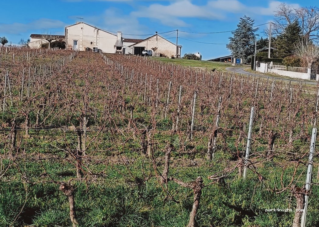 Clos Maine Gravereau — foto 4
